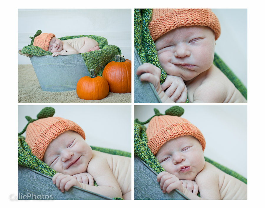 Newborn Photography Indy1