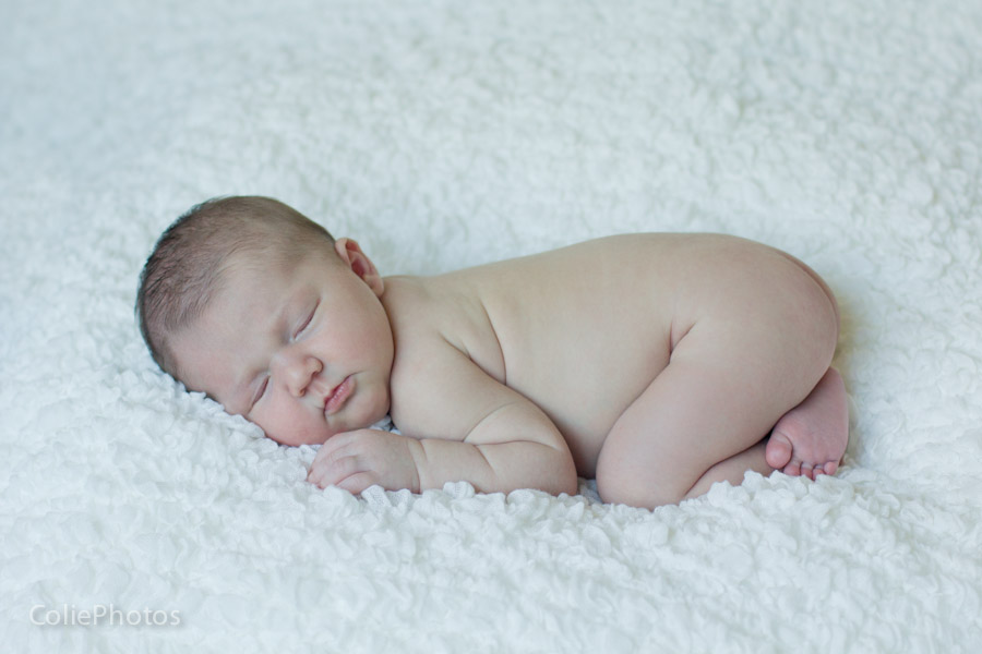 Holly Ridge, NC newborn photographer