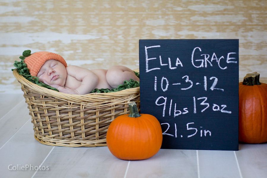 Holly Ridge, NC newborn photographer