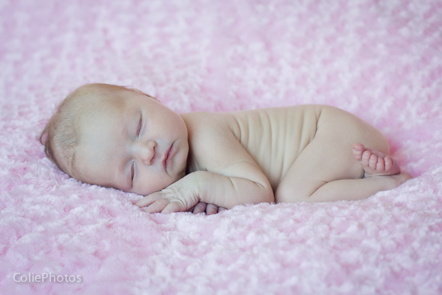 Jacksonville, NC newborn photographer