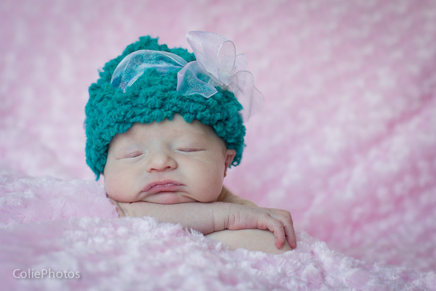 Jacksonville, NC newborn photographer