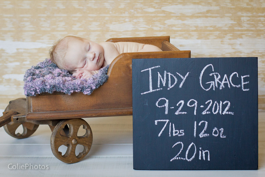 Jacksonville, NC newborn photographer