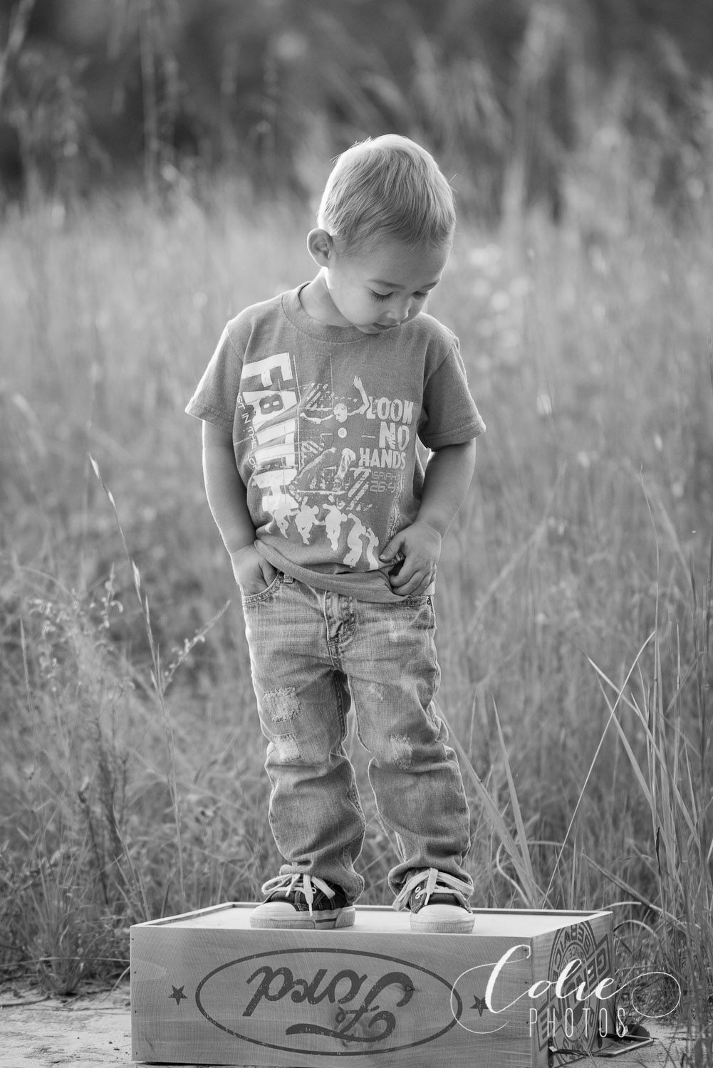 custom-photography-sessions-colie-photos