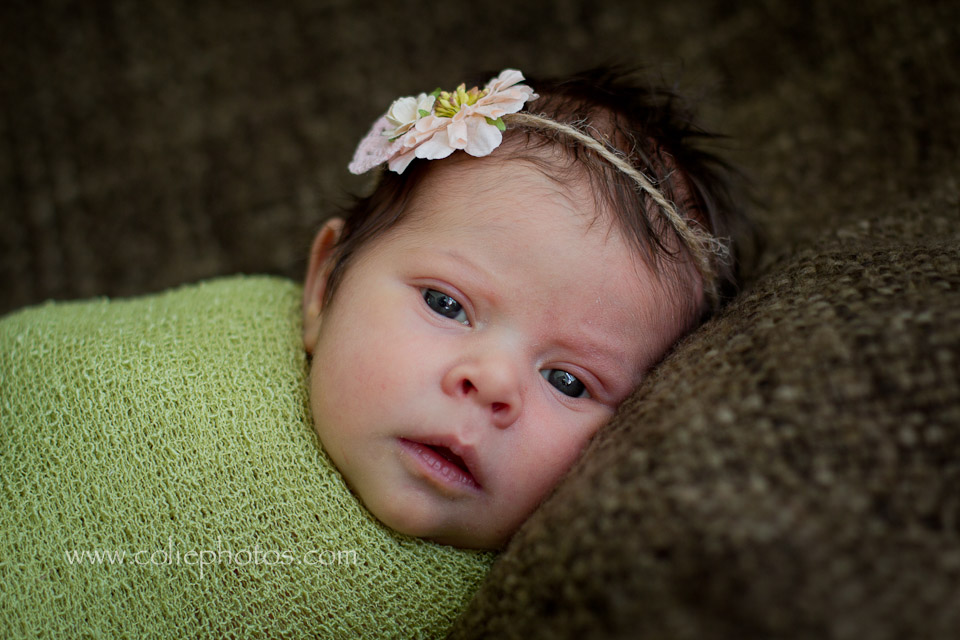 Newborn Photography