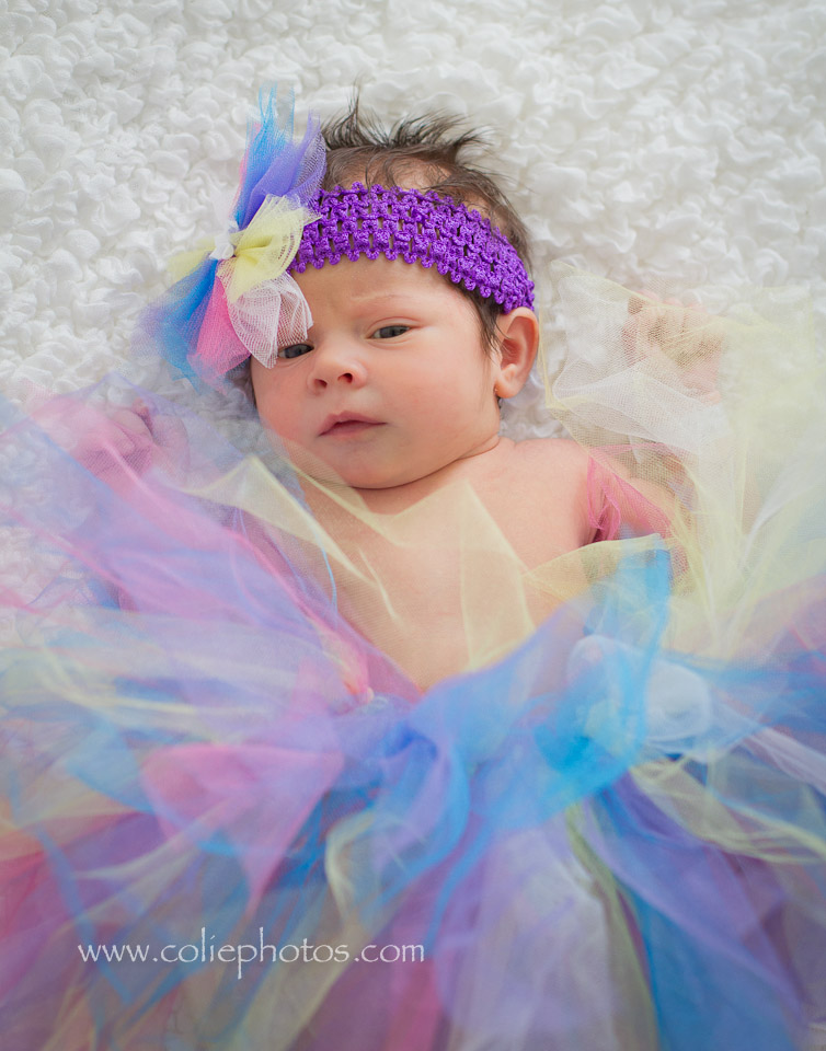 Newborn photography tutu