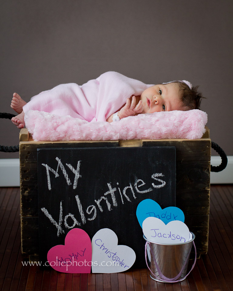 Newborn photography Valentines