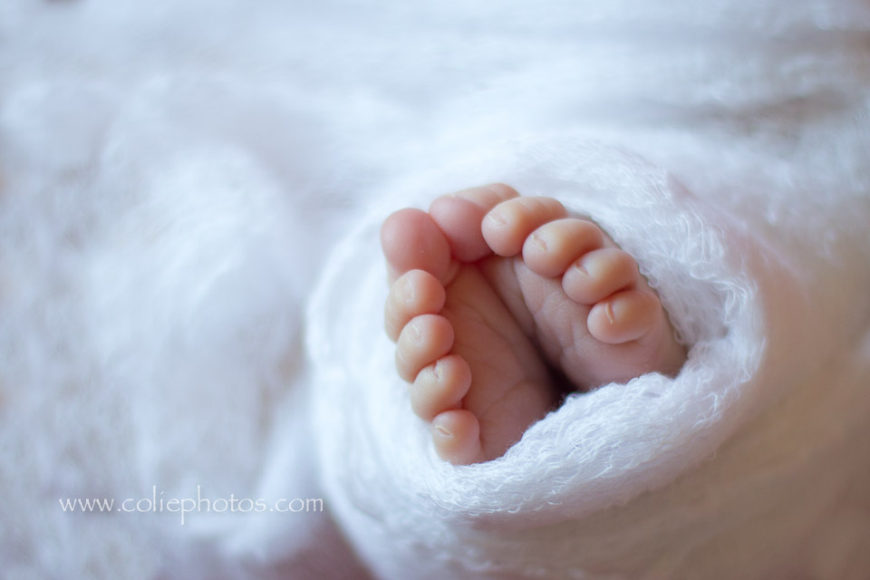 Newborn toes