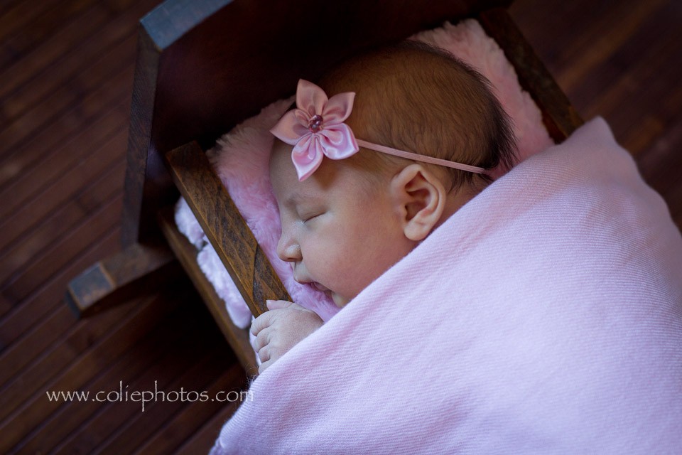 Sneads Ferry Newborn Photography