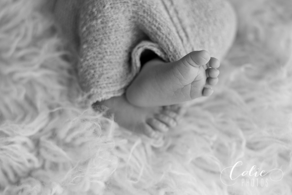 Jacksonville NC newborn photographer