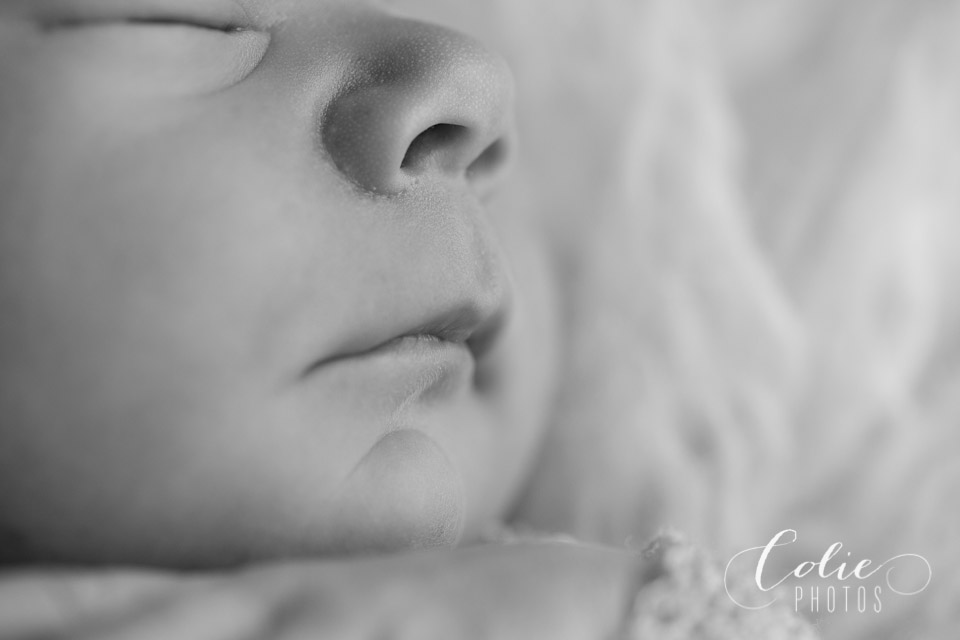 Jacksonville NC newborn photographer