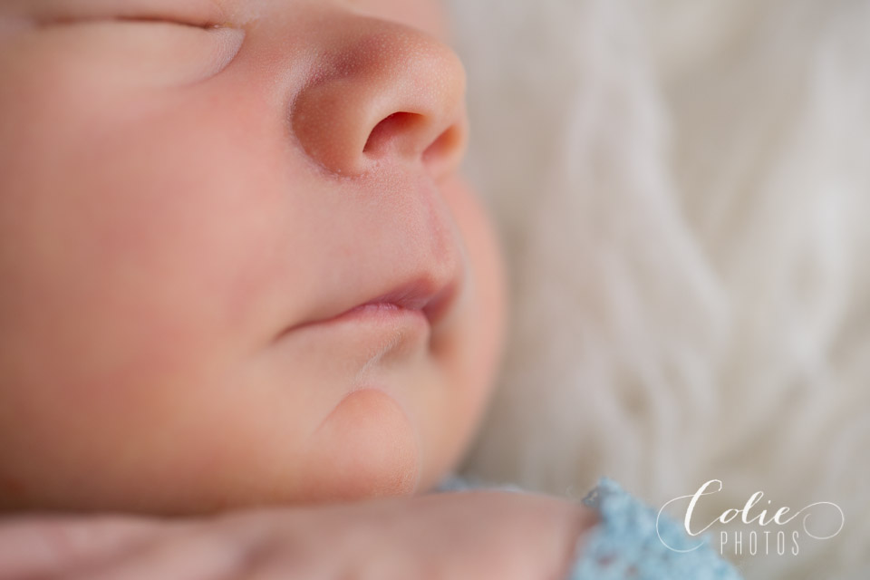 Jacksonville NC newborn photographer