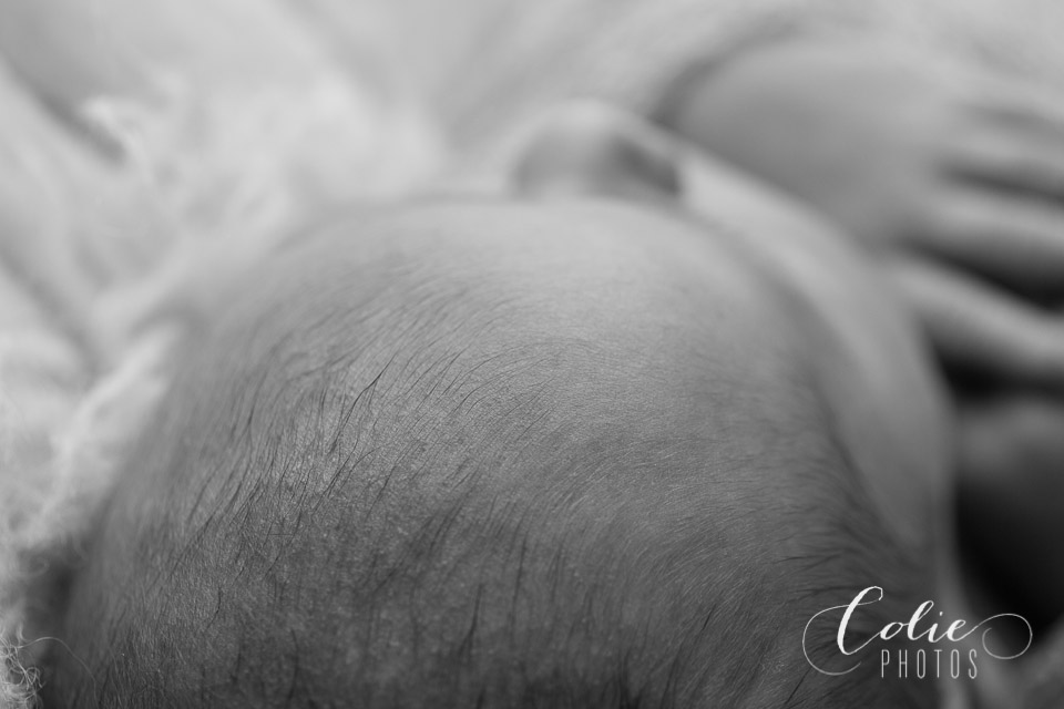 Jacksonville NC newborn photographer