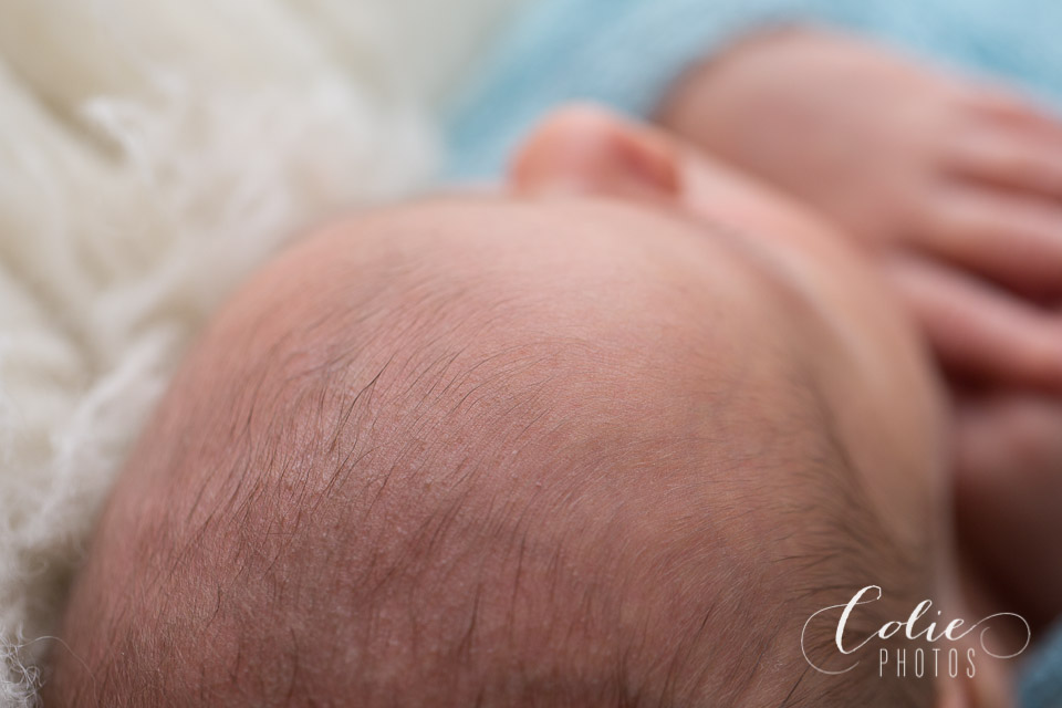 Jacksonville NC newborn photographer