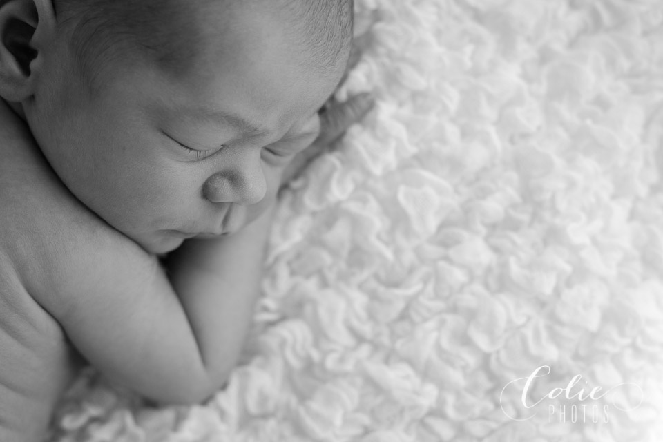 Jacksonville NC newborn photographer