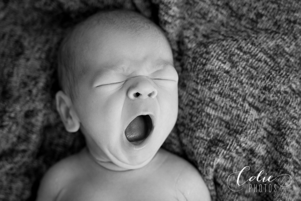 Jacksonville NC newborn photographer